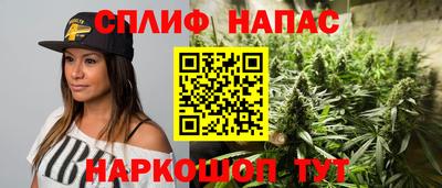 a pvp Боровичи