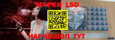 шишки Бердск