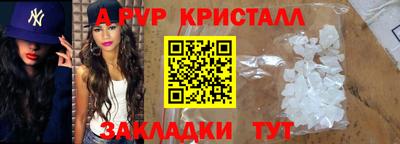 шишки Бердск