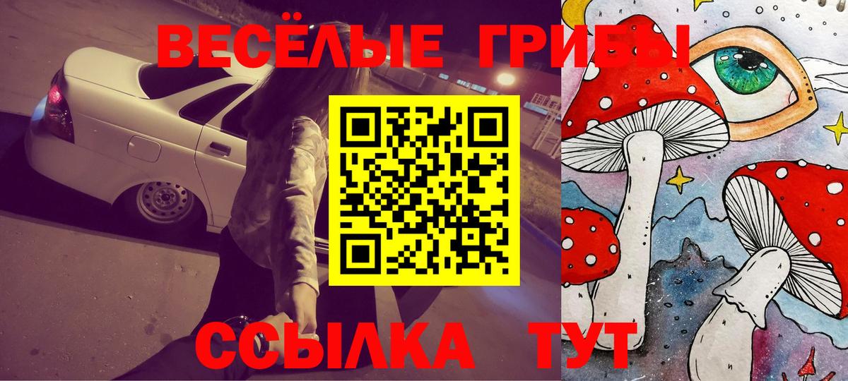 Галлюциногенные грибы мухоморы Тавда